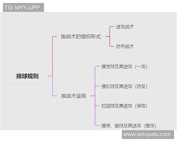 深圳排球队战术解析及其对比分析深度剖析